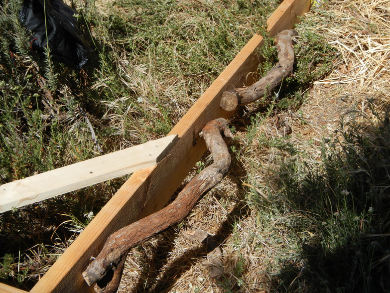 Manzanita branches are nailed to the door buck as 'dead-men' to prevent the door from being knocked out of the wall.