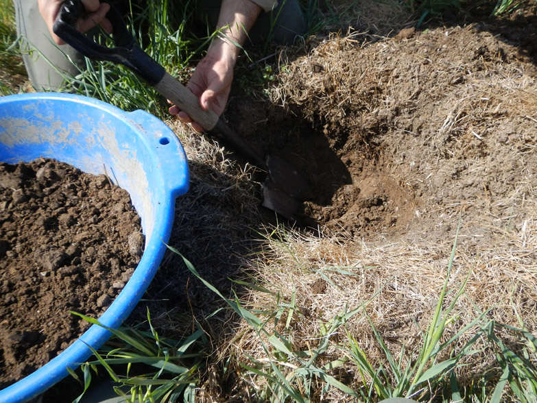 First we take soil samples to create some test cob bricks. Will they crack or be strong like a rock?