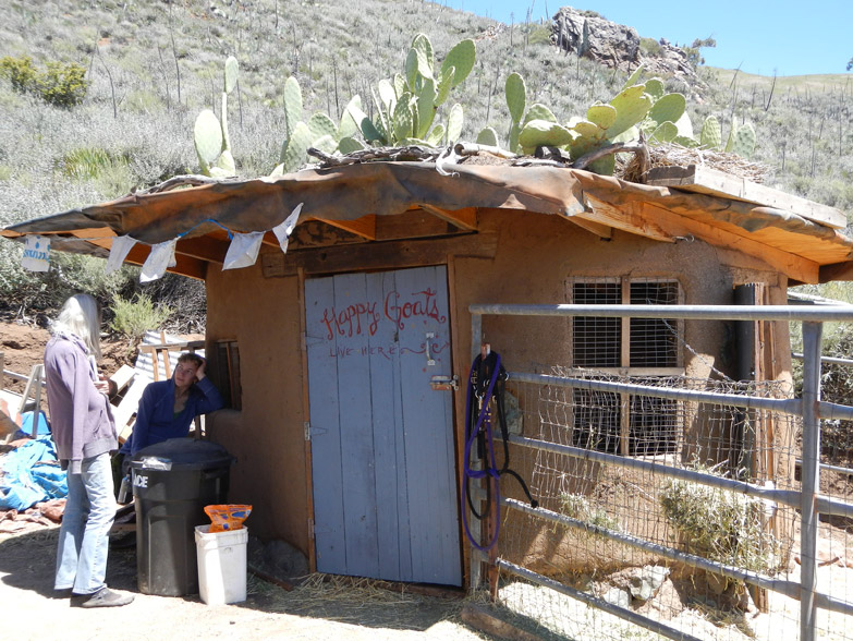 Cob goat shelter