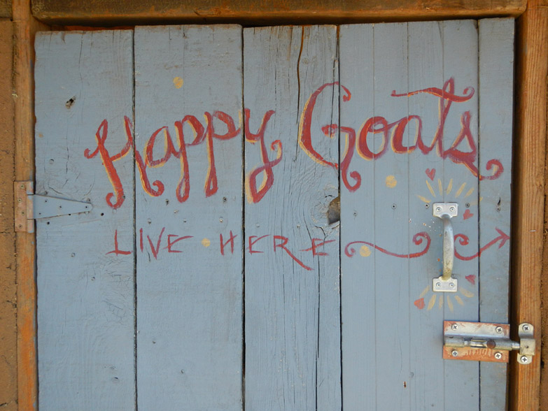 Happy Goats Live Here