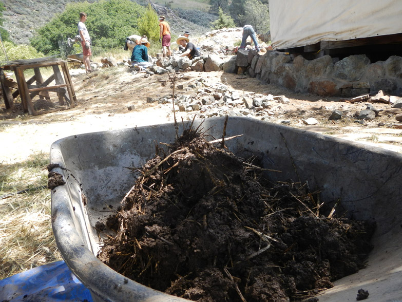 Finished cob is delivered to the wall in wheelbarrows.